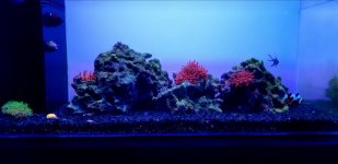 Screenshot_20190422-174730_Gallery.jpg