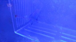 20180807_183404.jpg