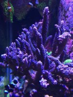 IMG_3608.jpg