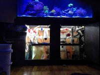 IMG_1970.jpg