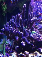 IMG_3609.jpg