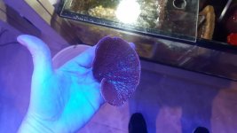 20180214_160902.jpg