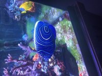 IMG_1046.jpg