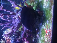 IMG_1048.jpg