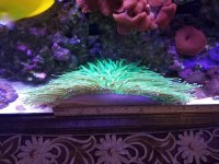 20180203_145211.jpg
