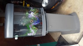 20180501_163336.jpg