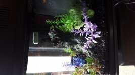 20180501_163413.jpg