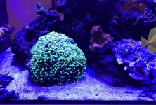 CB128C29-3F0E-4E8A-A07E-2B5D3A3A3F66.jpg