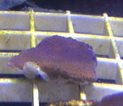 3B6D7B65-2CDB-4C67-9F5D-36E76537329F.jpg