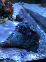mushroom rock 2.jpg