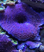 CBD6F11F-564D-42EE-8D10-989E301C9006.jpg