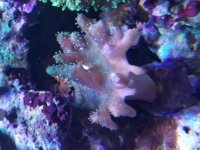 20190210_163421.jpg
