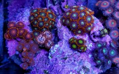 20180916_155651.jpg