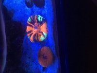 IMG_4949.jpg