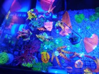 IMG_20190211_204709.jpg