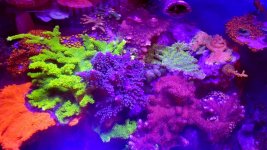 20180115_105927.jpg
