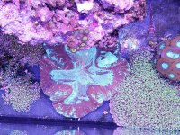 20181202_151631.jpg