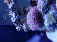 20171118_163233.jpg