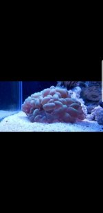 Screenshot_20171121-224612.jpg