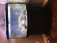 tank3.jpg
