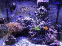 IMG_1136.jpg