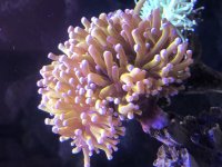 54AAB596-96D0-41B2-8139-E05B49D1D47C.jpg