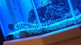 20170319_203711.jpg