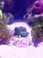 IMG_3583.jpg