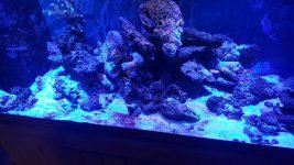 20180218_100534.jpg