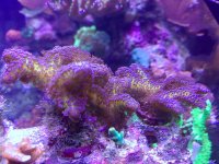 IMG_3576.jpg