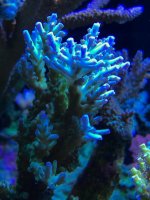 IMG_0112.jpg