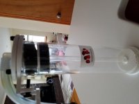 20180831_125259.jpg
