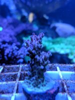 IMG_20180218_122346.jpg