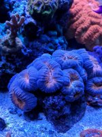 IMG_20180218_122406.jpg
