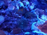 20180916_103538.jpg