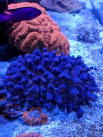 IMG_20180218_122409.jpg