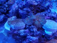 20180916_103550.jpg