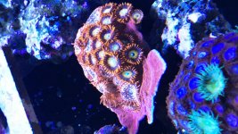 8D0CA311-0CBE-4403-B18F-B18C2F3F0E6E.jpg