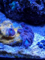 IMG_20180218_122402.jpg