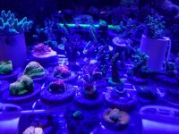 20180620_233418.jpg