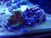 IMG_3912.jpg