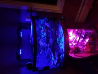 20171112_232727.jpg