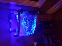 20171119_212306.jpg