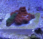 D326AA89-C4E1-40BA-BFE0-11433D9FCEB9.jpg