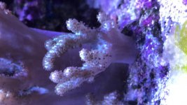 CFF3D1FE-F0E9-4EC1-9D9F-3EA7AAC28F84.jpg