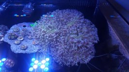 20180917_180034.jpg