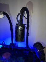 8E56BF41-955E-445E-98F9-8BD396AA88B3.jpg