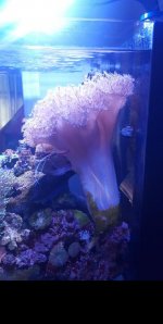 20180917_180859.jpg