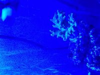 20180218_191818.jpg