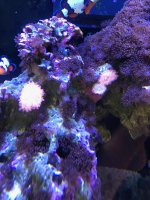 IMG_6028.jpg